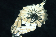 Marigold with Butterfly